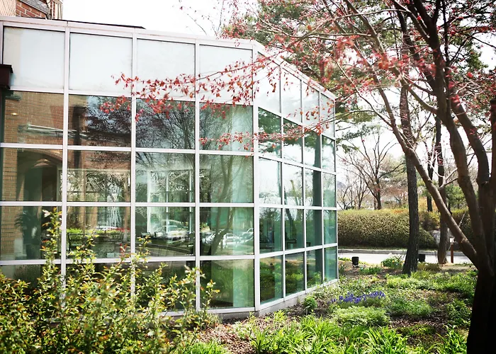 Mayfield 5* Seoul